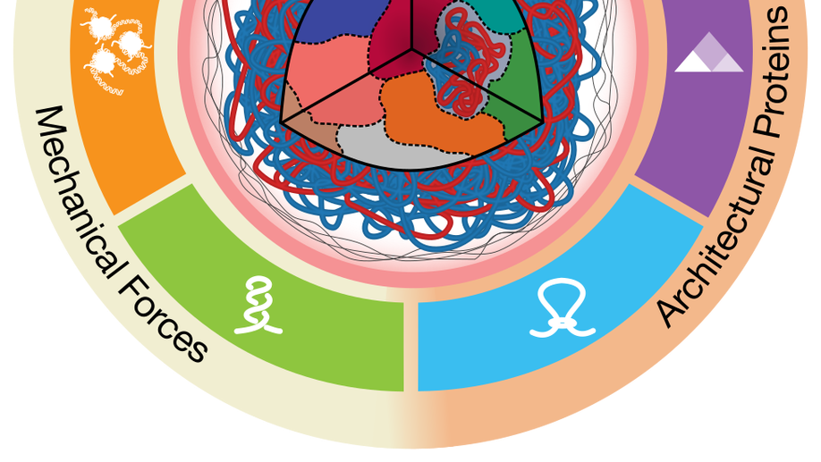 Understanding and Engineering Chromatin as a Dynamical System across Length and Timescales